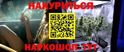 сатива Гусев